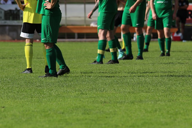 足坛的中坚 足坛的中坚