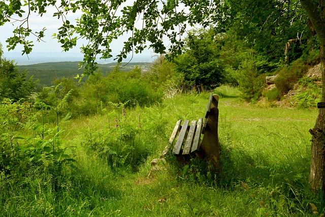 业通过参与 业通过参与