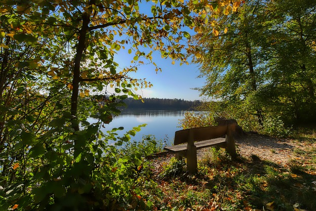 也为他的职 也为他的职