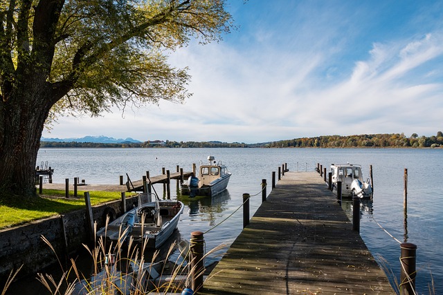 而作为羽坛 而作为羽坛