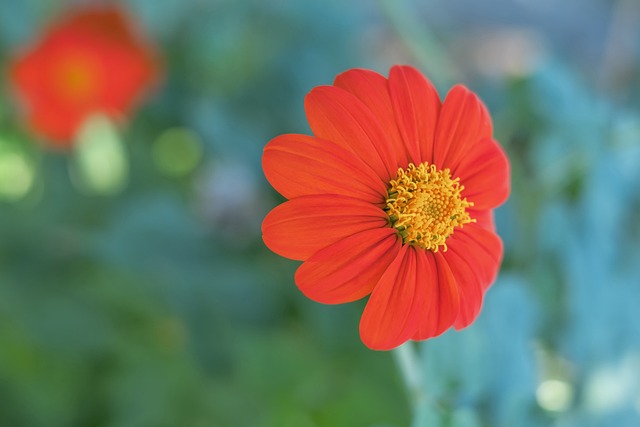 通过这次比 通过这次比