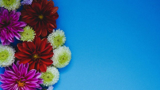 进社会和谐 进社会和谐