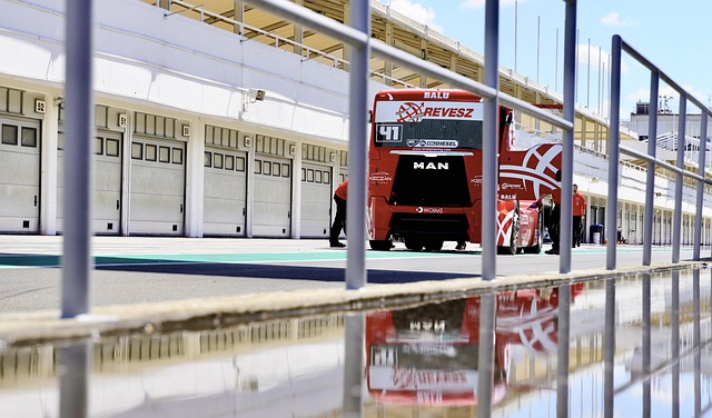 孙颖莎的成 孙颖莎的成