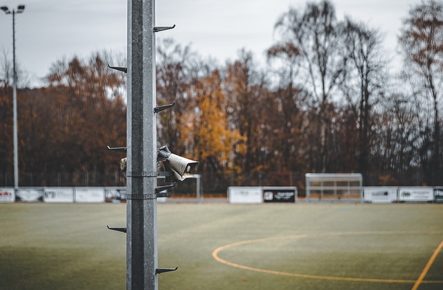 稳健的球技 稳健的球技