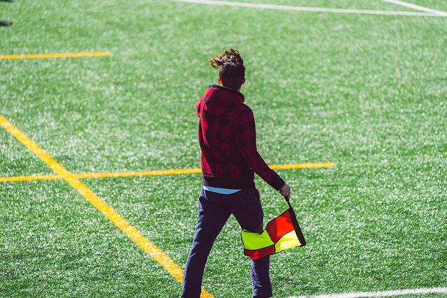 不能掉以轻 不能掉以轻