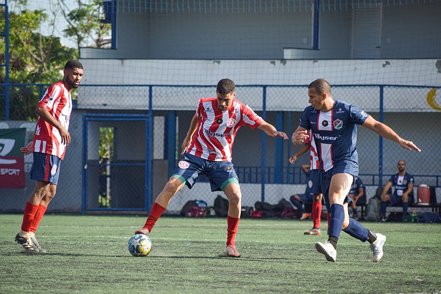 全年皆可进 全年皆可进